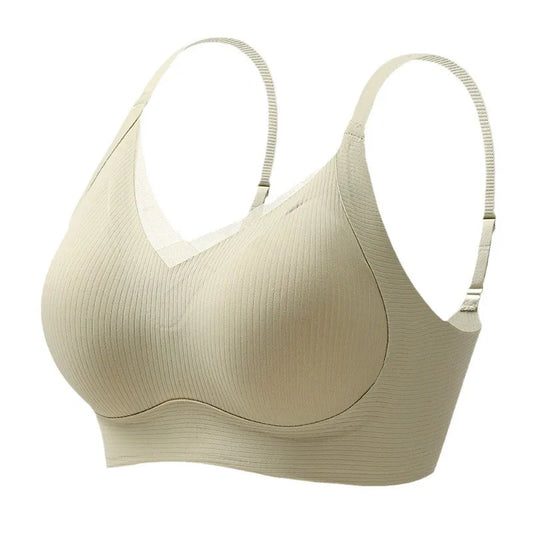 Lace Trim Padded Bra Image 2